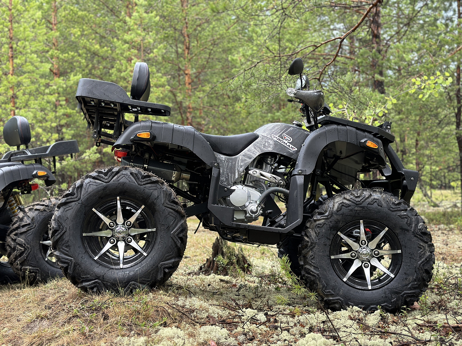 Квадроцикл PROMAX 320 DOMINATOR (2025) в Сочи