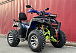  Квадроцикл PROMAX ATV 250 MAX (2025) в Сочи
