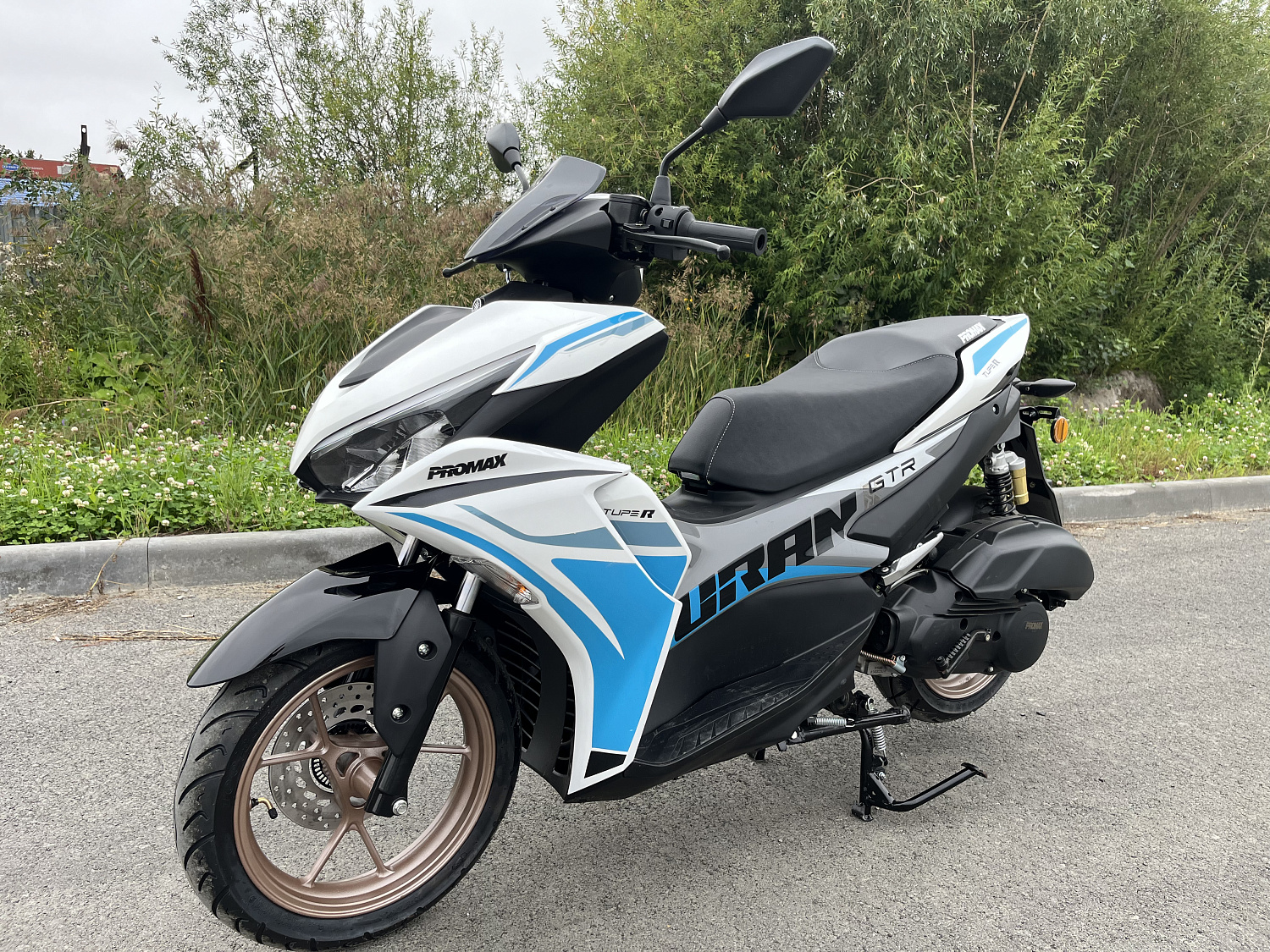 Скутер PROMAX TURAN 250 (49) в Сочи