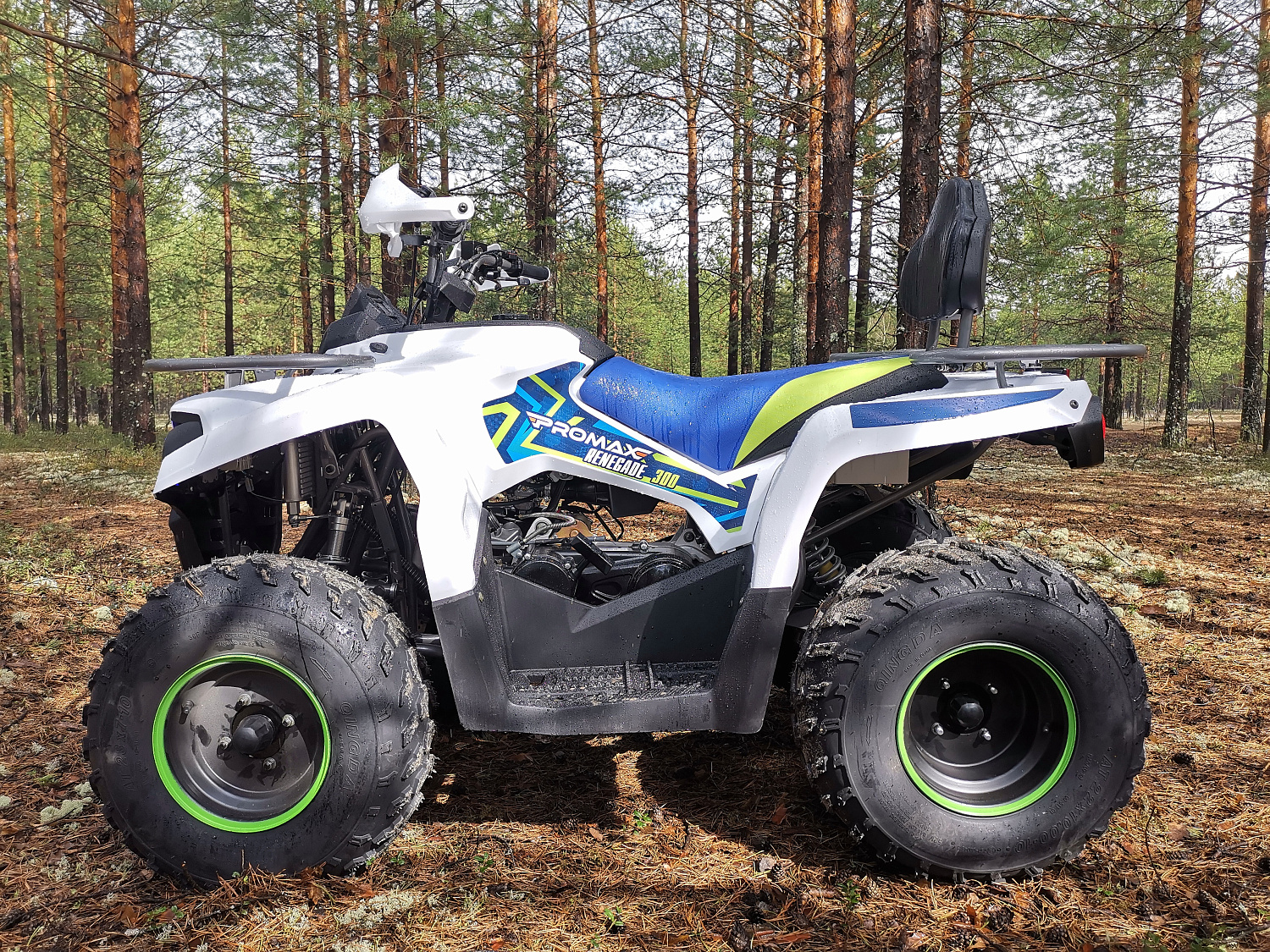 Квадроцикл PROMAX RENEGADE 280 (2025) в Сочи