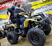 Квадроцикл PROMAX ATV 250 (2025) в Сочи