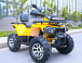 Квадроцикл MOTOLAND (МОТОЛЕНД) VOX200 WILD TRACK X PRO (баланс. вал) в Сочи