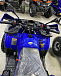 Квадроцикл PROMAX WILD 2.0 190 PRO (2025) в Сочи