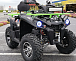 Квадроцикл PROMAX RENEGADE 280 WINCH PRO (2025) в Сочи