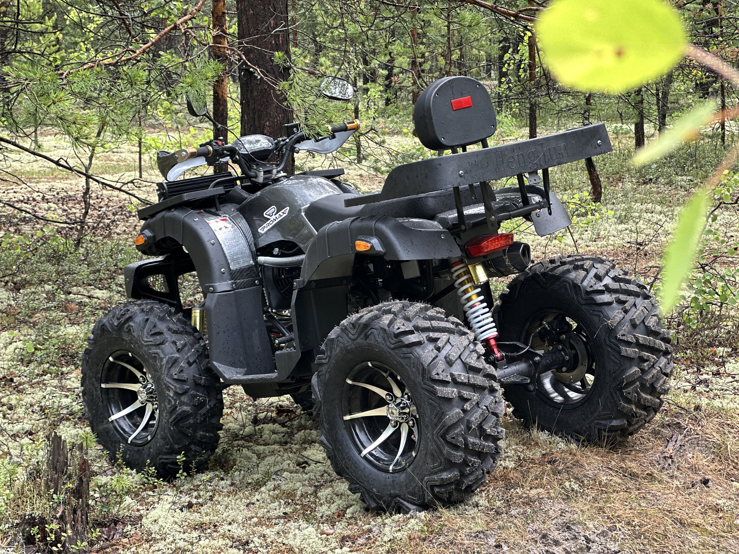 Квадроцикл PROMAX 320 DOMINATOR (2025) в Сочи