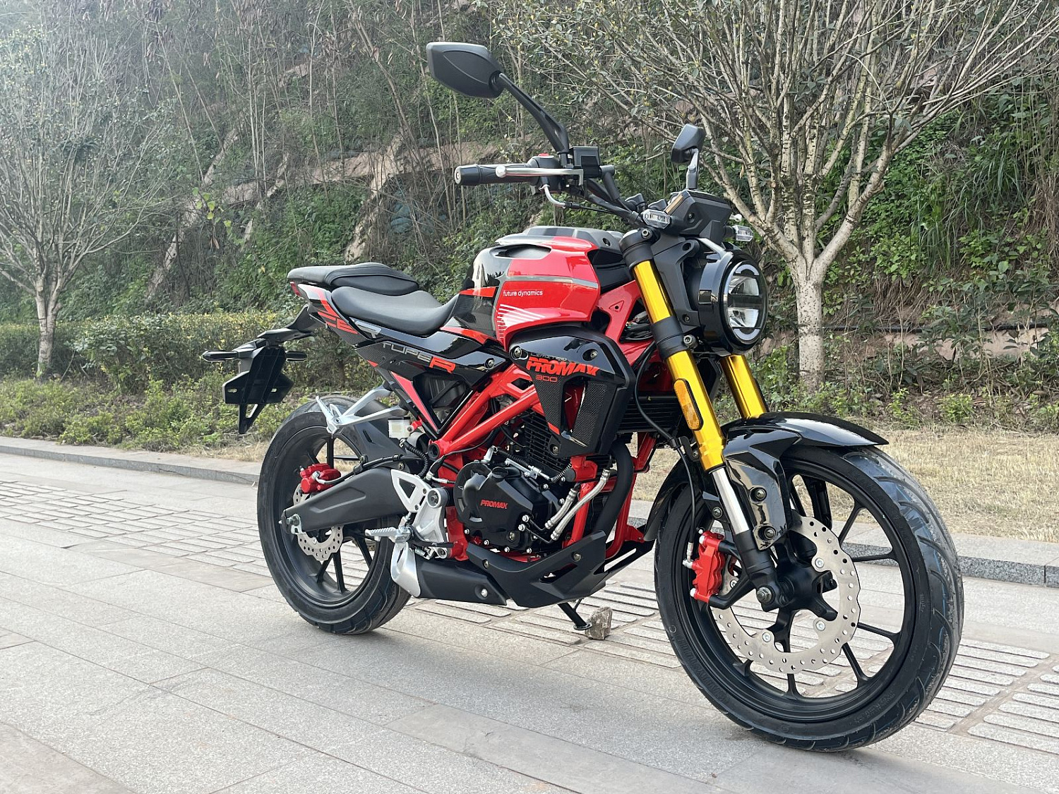 Мотоцикл PROMAX CB300 в Сочи