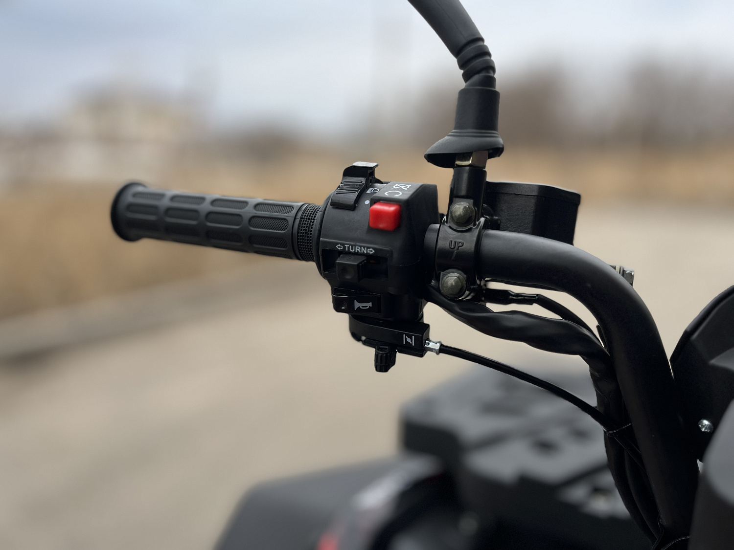 Квадроцикл PROMAX TAURUS 300 MAX-PRO LONG в Сочи