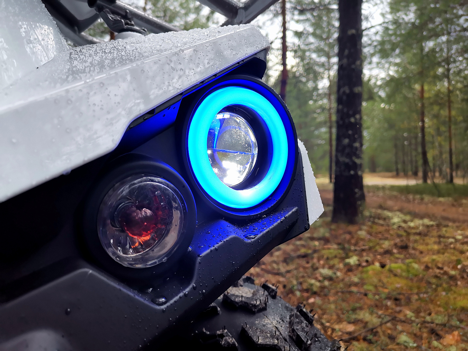 Квадроцикл PROMAX RENEGADE 280 (2025) в Сочи