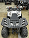 Квадроцикл PROMAX WILD 2.0 190 в Сочи