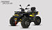 Квадроцикл PROMAX TAURUS 300 MAX-PRO LONG в Сочи