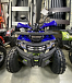 Квадроцикл PROMAX WILD 2.0 190 PRO (2025) в Сочи